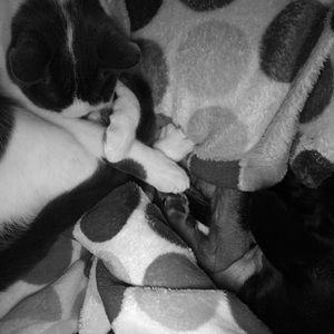 Meet your Posher, Kimkimberly